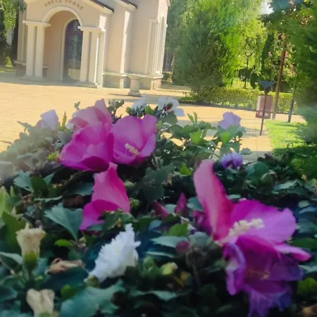 Golf Club Mia 2 Lägenhet Slăntjev Brjag