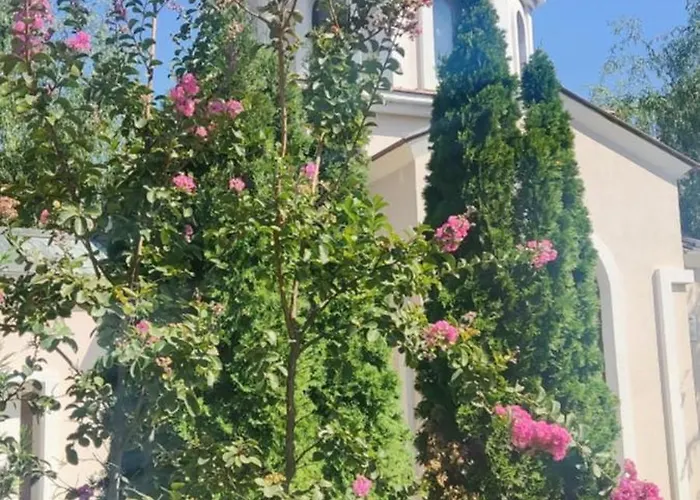 Golf Club Mia 2 * 阳光海滩