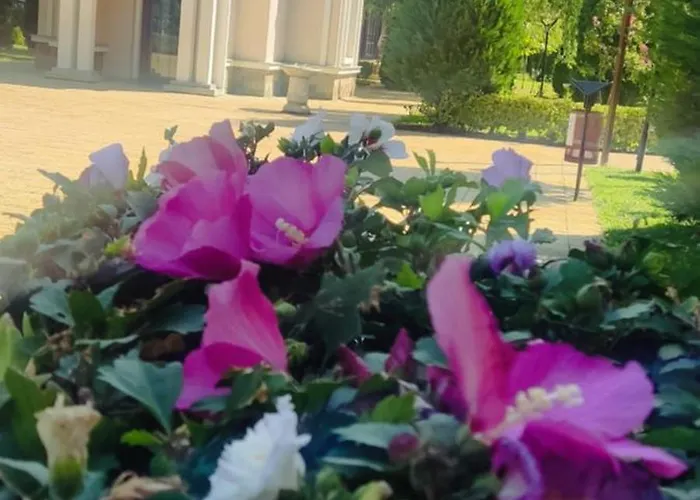 Golf Club Mia 2 Apartamento Sunny Beach